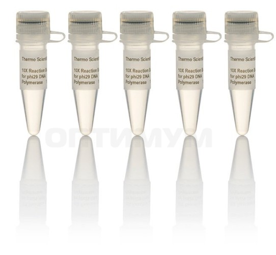 Буфер для ДНК-полимеразы Phi29, 10Х, Thermo FS