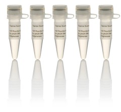 Буфер для ДНК-полимеразы Phi29, 10Х, Thermo FS