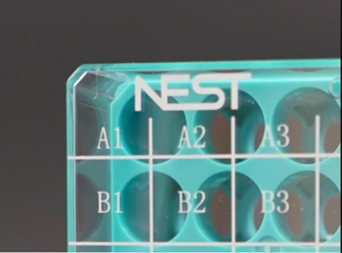 Штатив для хранения криопробирок 1,2 мл, 81 место, с крышкой, синий, Nest