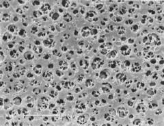 Мембранный фильтр из ацетата целлюлозы 11104-13-N, Sartorius