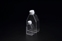 Флаконы культуральные 25 см2, 3D, с низкой адгезией, Cell Floater, 5 уп./10 шт., SPL
