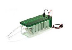 Камера для электрофореза на 12 гелей Mini-PROTEAN 3 Dodeca Cell, Bio-Rad