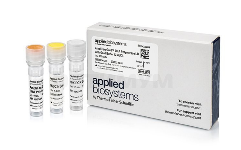 ДНК-полимераза AmpliTaq Gold DNA Polymerase LD (Low DNA) with Gold Buffer and MgCl2, Thermo FS