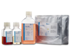 Бессывороточные среды для HEK293, Bioengine
