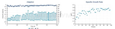 Бессывороточные среды для HEK293, Bioengine