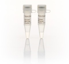 Гликоген, для работы с РНК и ДНК, Thermo FS