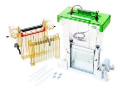 Электрофорезная камера Protean ll XL Cell, 2,0 mm, заливочный столик, Bio-Rad