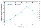 Бессывороточные среды для клеток PK15, Bioengine