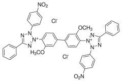 Нитросиний-п тетразолий (хлорид) (НСТ), C.I. 50420, CAS 298-83-9, Индия