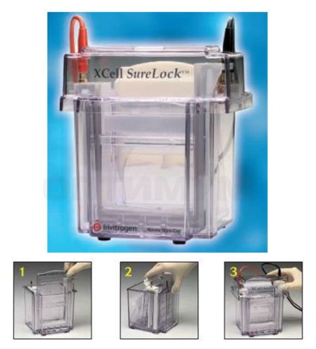 Электрофорезная вертикальная камера XCell SureLock Mini-Cell, 8х8 см, 2 мини-геля, Thermo FS