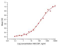 Фактор человека макрофагальный колониестимулирующий, рекомбинантный белок, rhM-CSF, Россия