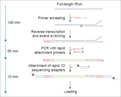 Набор для секвенирования кДНК со стадией ПЦР, PCR-cDNA Sequencing Kit, Oxford Nanopore Technologies